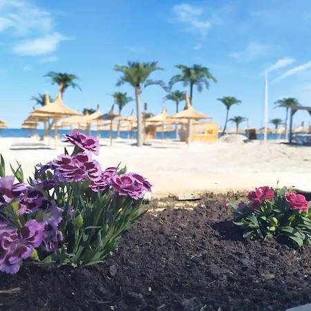 Apartment Zen And By Mamaia Nord Navodari