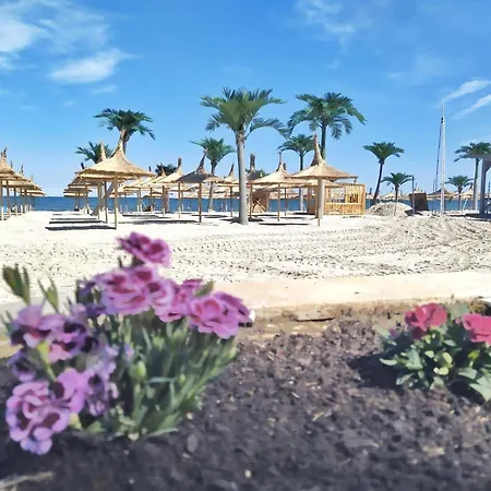 Zen And By Mamaia Nord Apartment